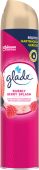 Detailinfo zu Glade Duftspray