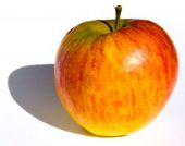 Detailinfo zu Apfel Gala, Klasse I