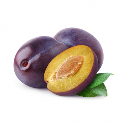Produkt-Bild
